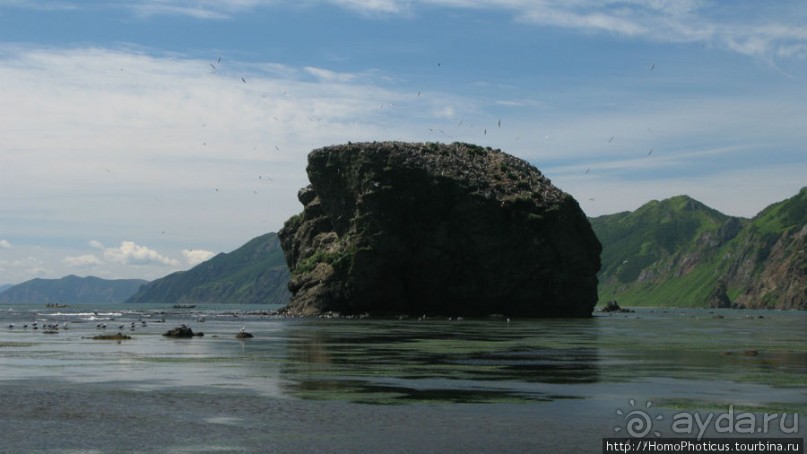 Тихая бухта. Ветрено.