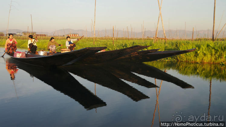 Сокровища Мьянмы. IV. Шанская жемчужина