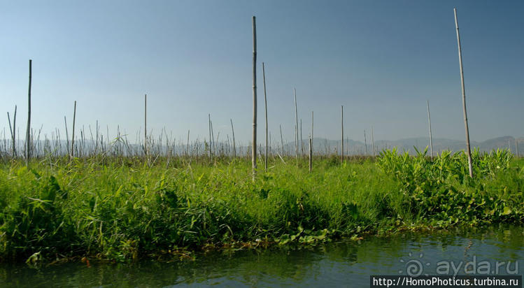 Сокровища Мьянмы. IV. Шанская жемчужина