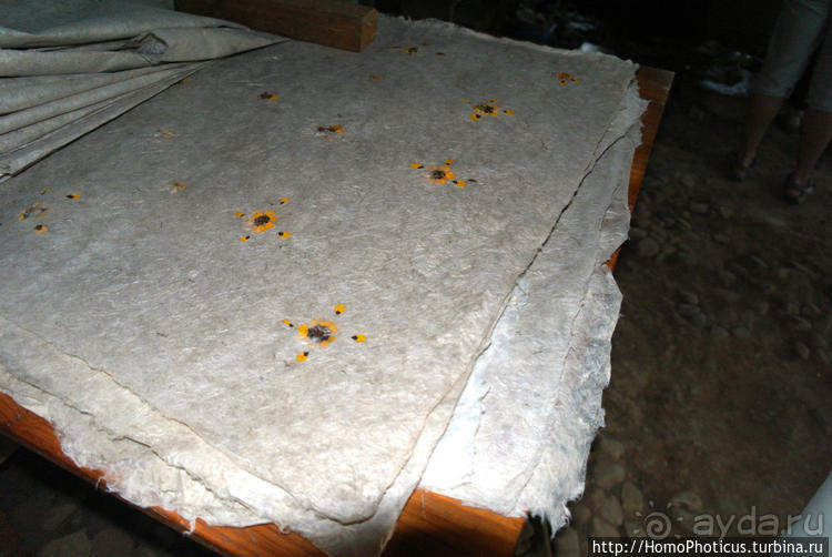 Сокровища Мьянмы. IV. Шанская жемчужина