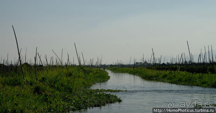 Сокровища Мьянмы. IV. Шанская жемчужина