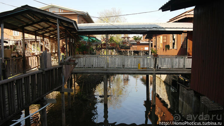 Сокровища Мьянмы. IV. Шанская жемчужина