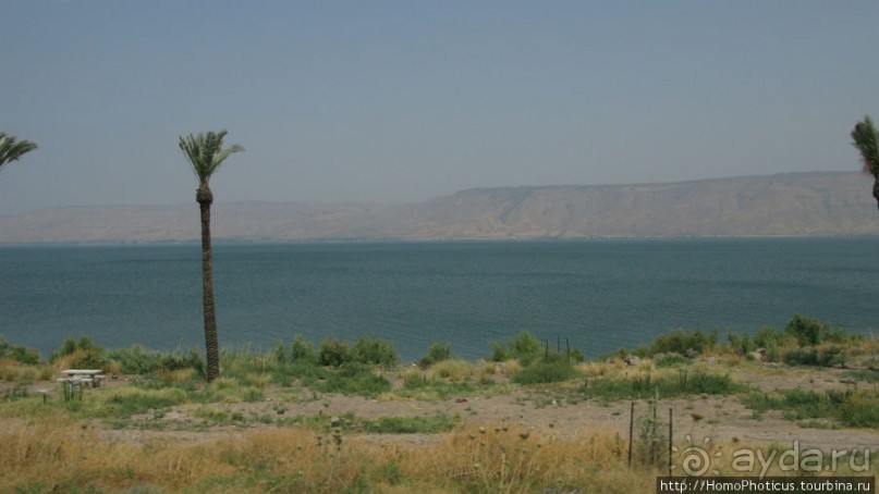 Умножение хлебов и пожилой Спаситель