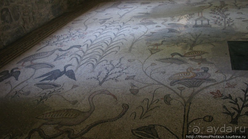 Умножение хлебов и пожилой Спаситель