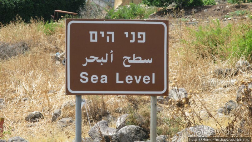 Умножение хлебов и пожилой Спаситель