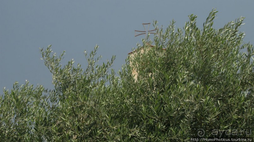 Умножение хлебов и пожилой Спаситель