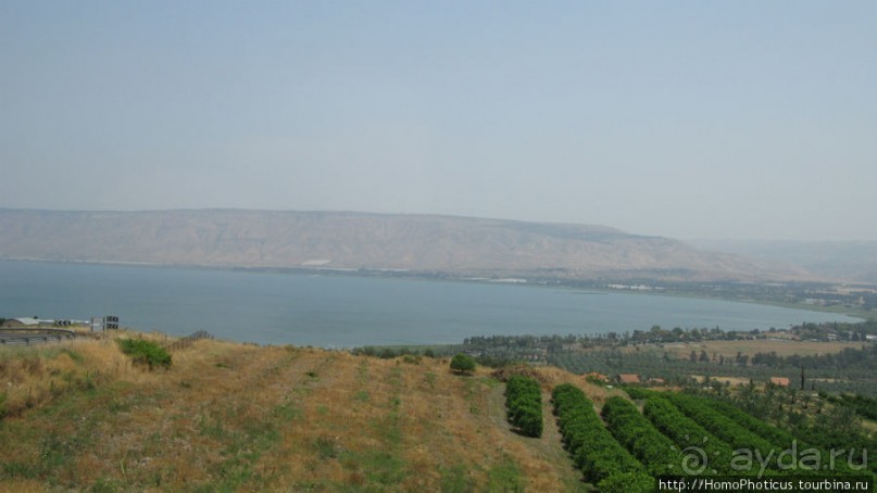 Умножение хлебов и пожилой Спаситель