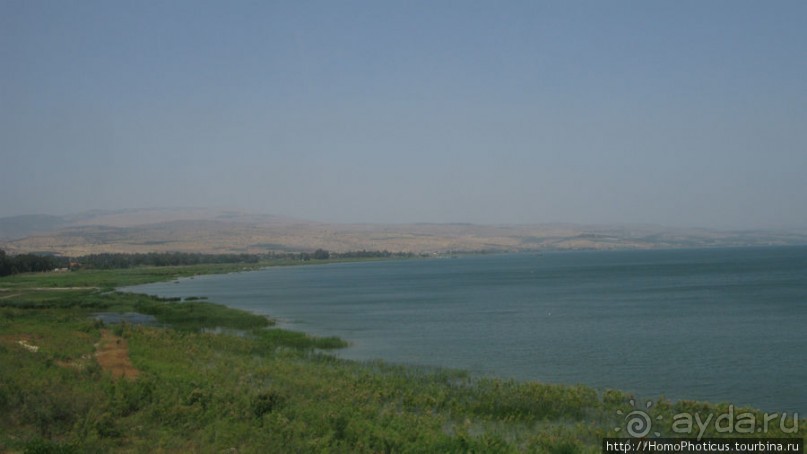 Умножение хлебов и пожилой Спаситель