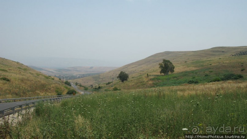 Умножение хлебов и пожилой Спаситель