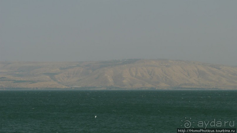 Умножение хлебов и пожилой Спаситель