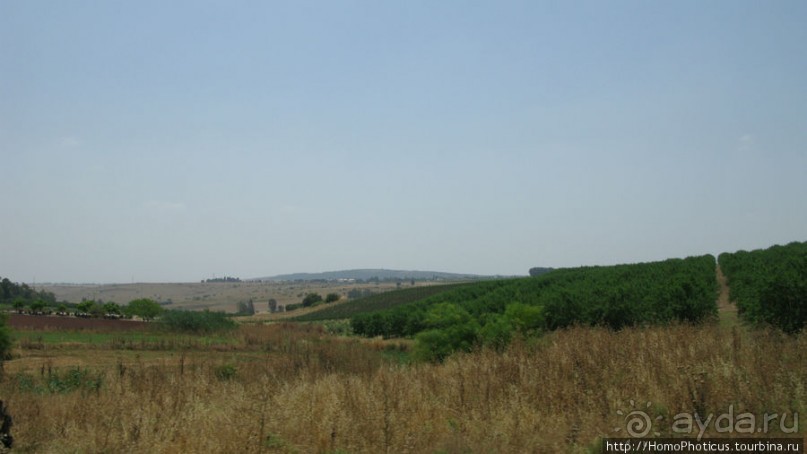 Умножение хлебов и пожилой Спаситель