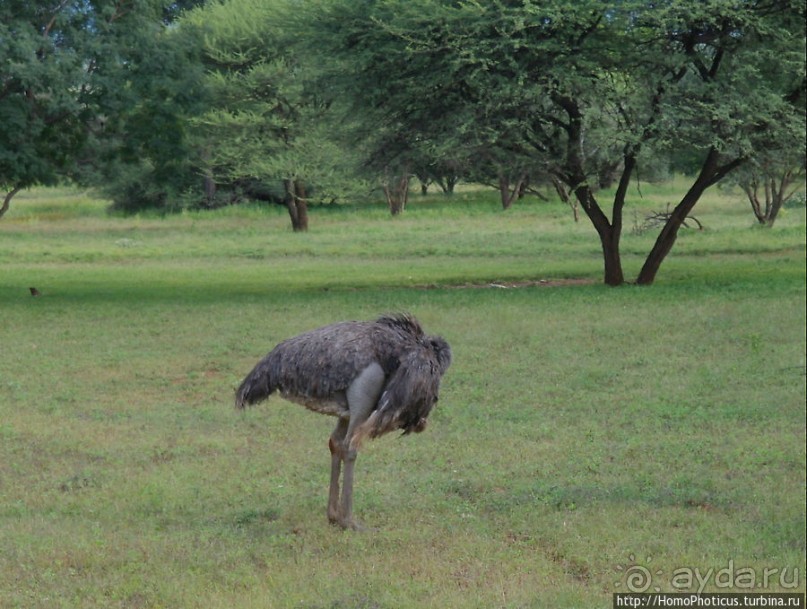 Большое белое место. Восток