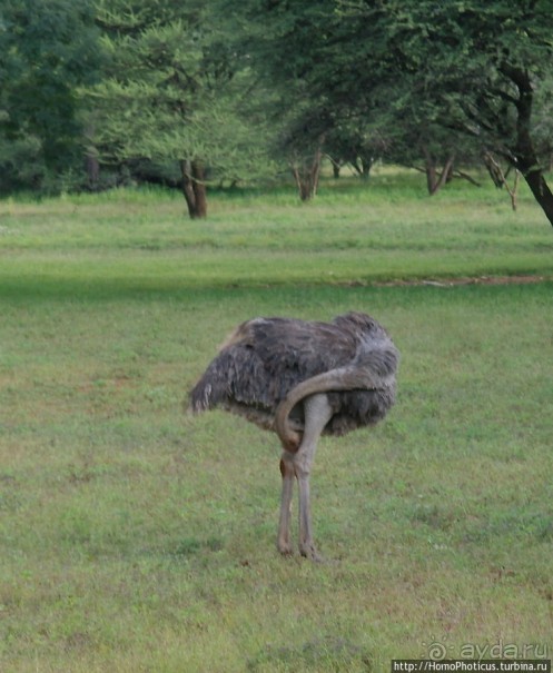 Большое белое место. Восток