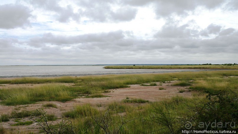 Большое белое место. Восток