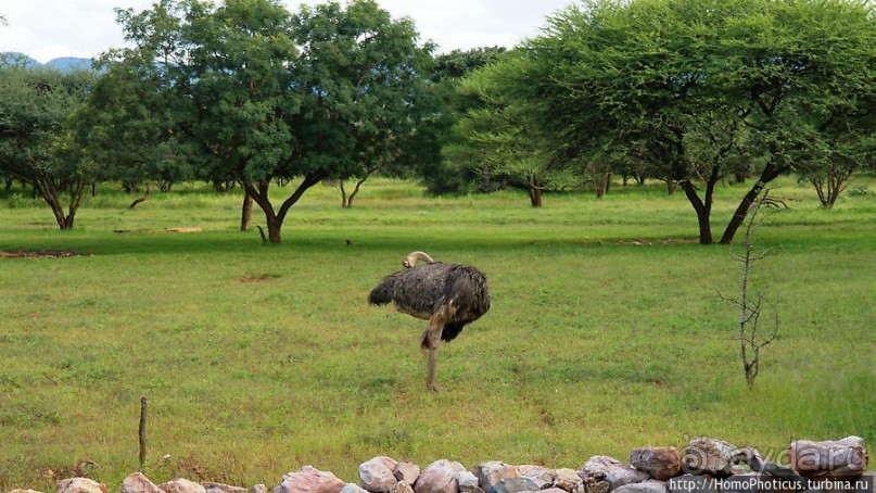 Большое белое место. Восток