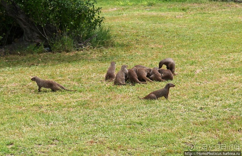 Большое белое место. Восток