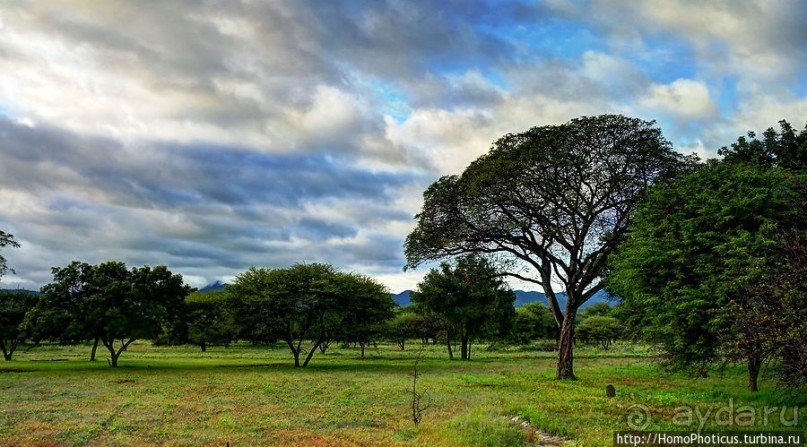 Большое белое место. Восток