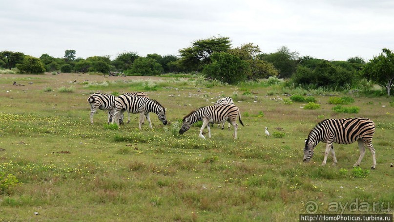 Большое белое место. Восток