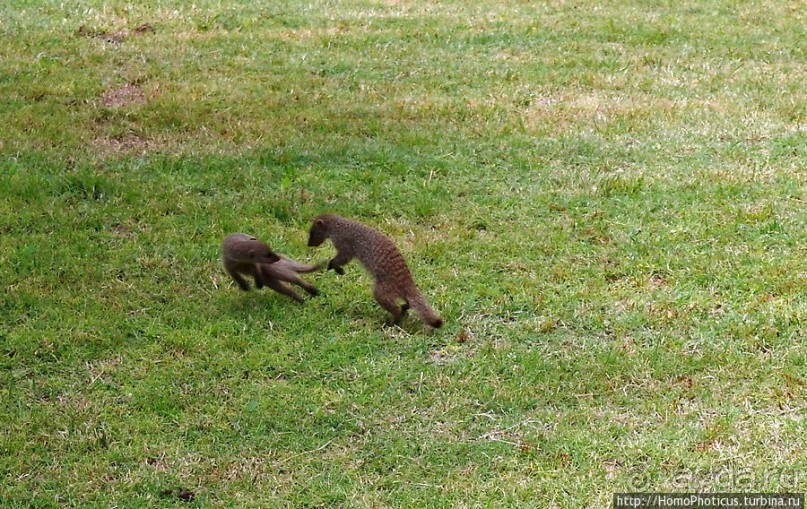 Большое белое место. Восток