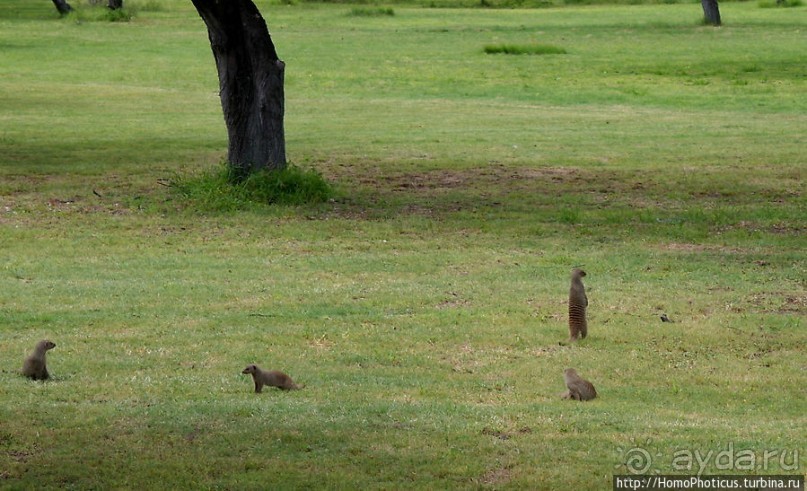 Большое белое место. Восток
