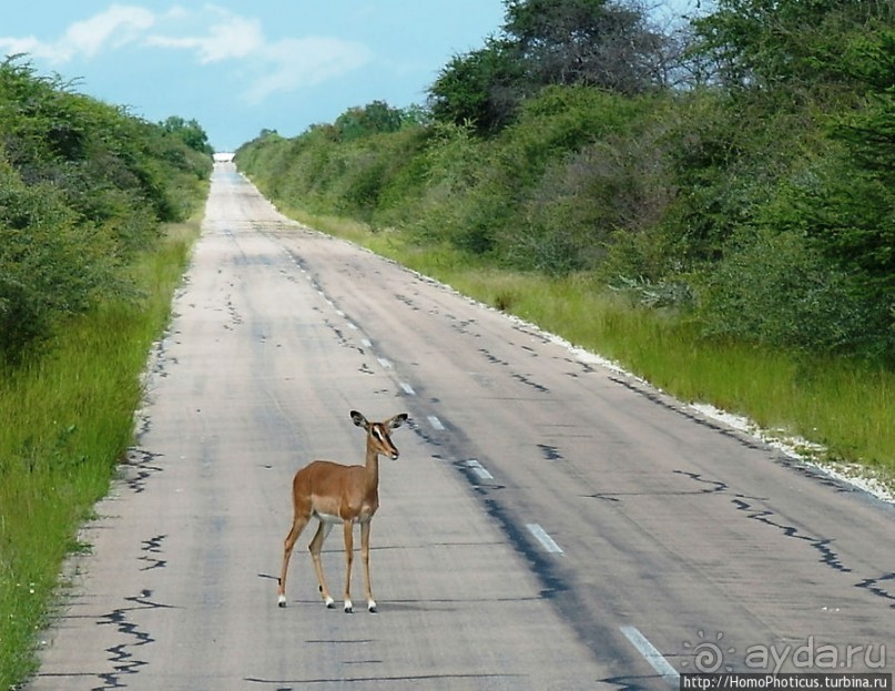 Большое белое место. Восток