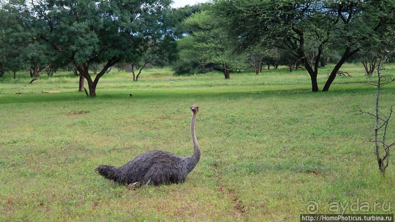 Большое белое место. Восток