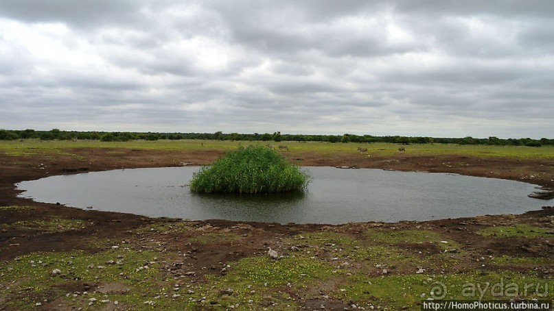 Большое белое место. Восток