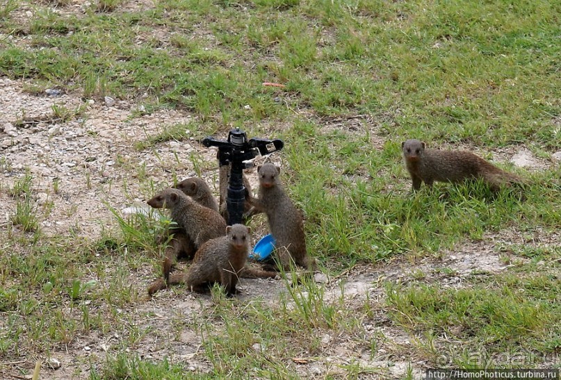 Большое белое место. Восток