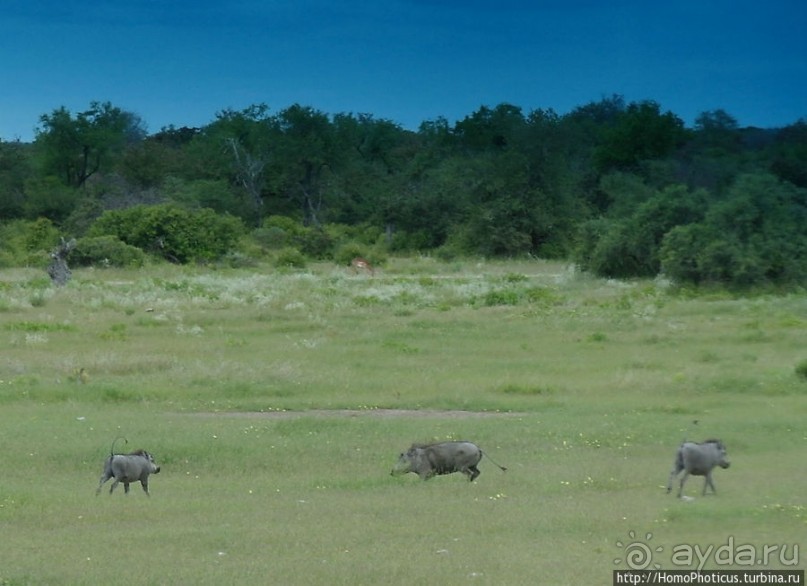 Большое белое место. Восток