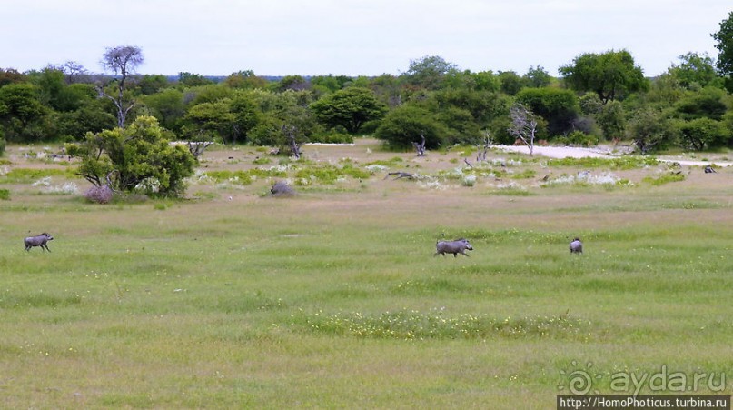 Большое белое место. Восток