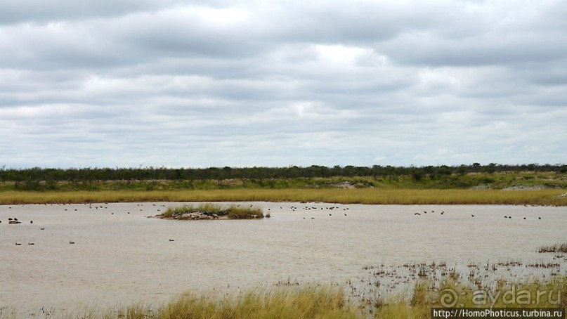 Большое белое место. Восток
