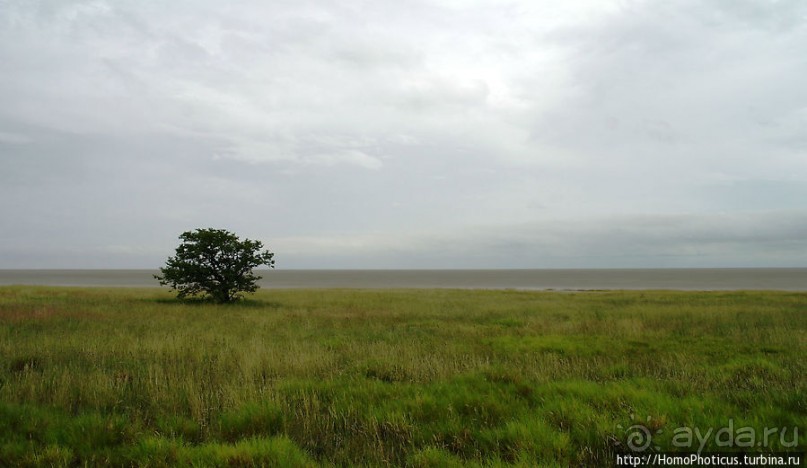 Большое белое место. Восток