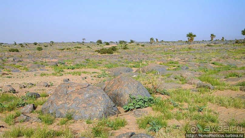 Ворота в пески