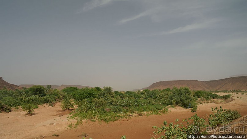 Ворота в пески