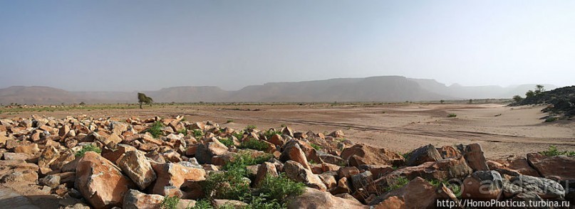 Ворота в пески