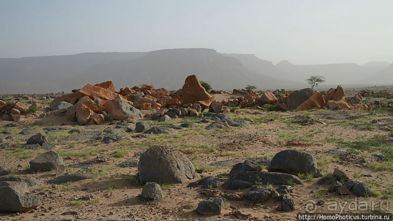 Ворота в пески