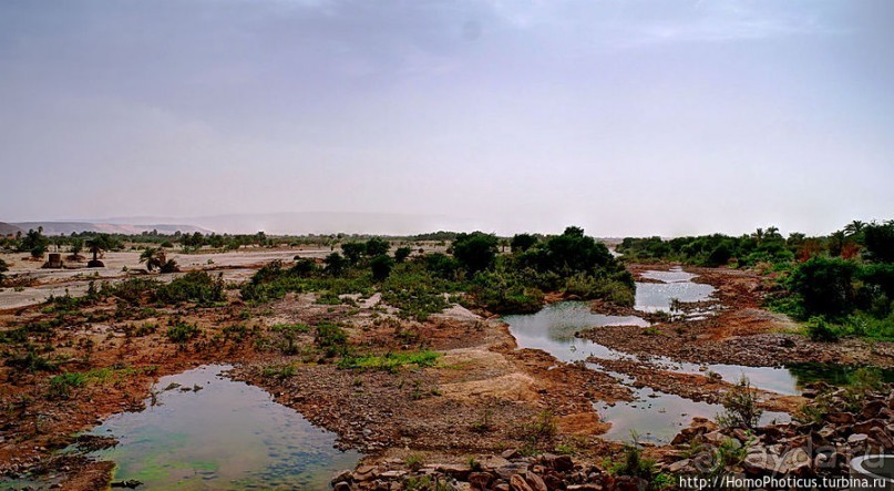 Ворота в пески