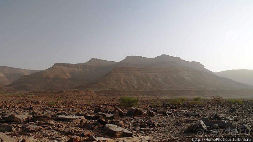 Ворота в пески