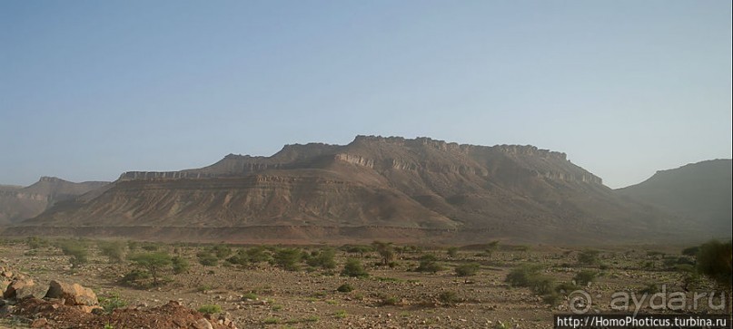 Ворота в пески