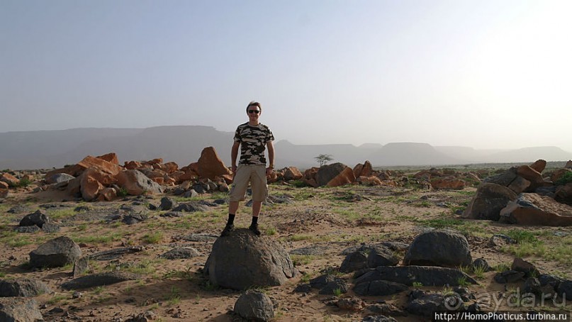 Ворота в пески