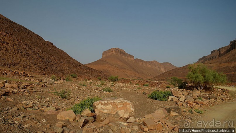 Ворота в пески