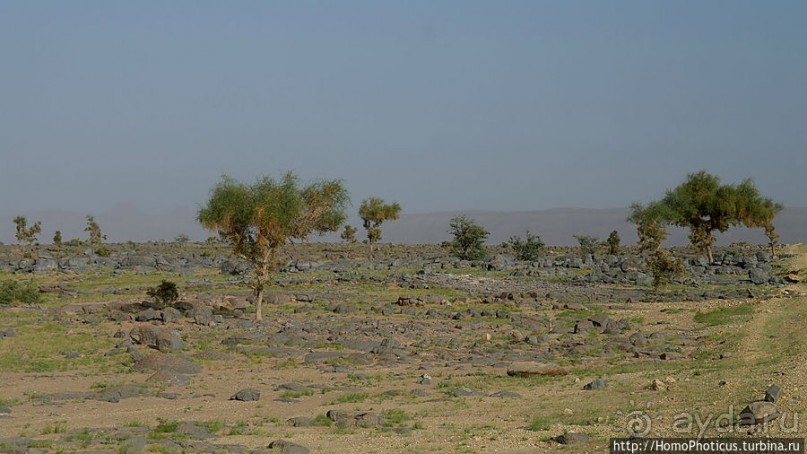 Ворота в пески