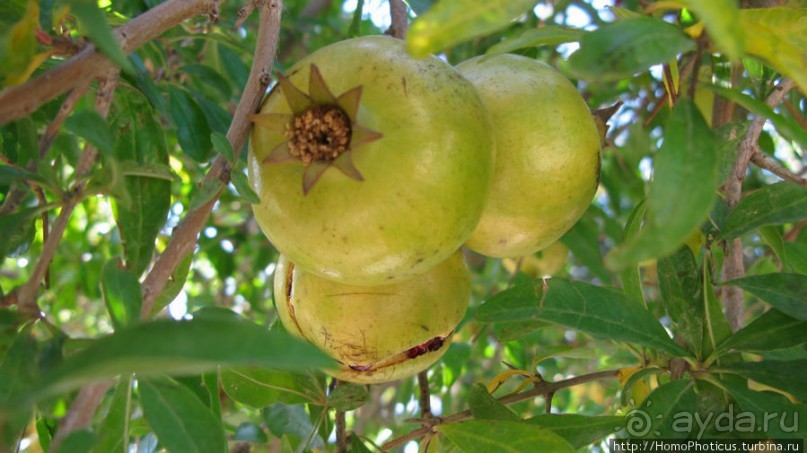 Старый новый Баку