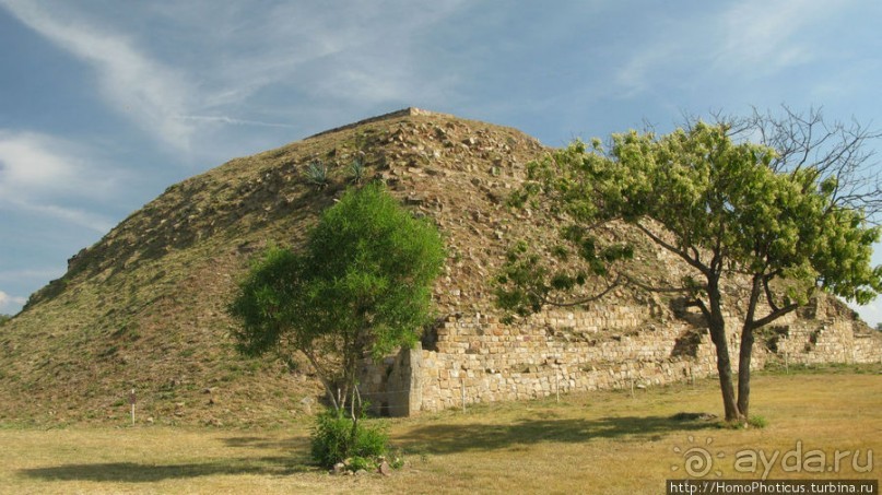 Место, где растет уахе возле святого холма