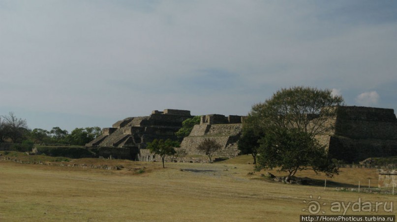 Место, где растет уахе возле святого холма