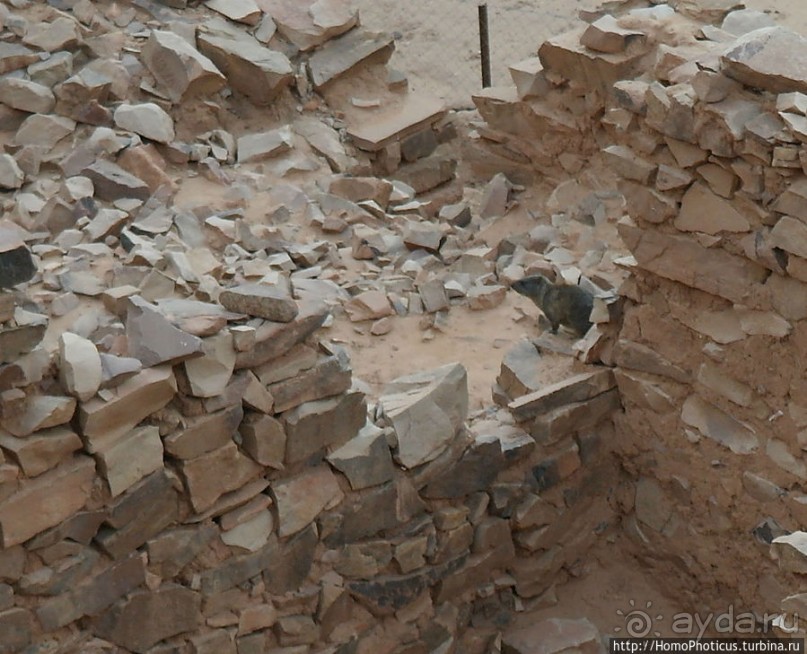 Остатки уаданского ксара