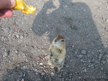 Другой мир. Мутновский, Горелый, Авачинский