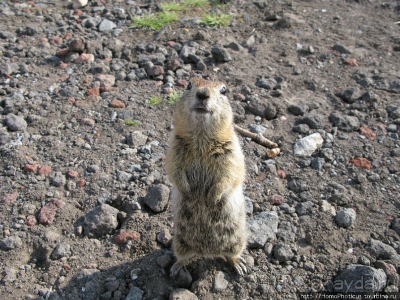 Другой мир. Мутновский, Горелый, Авачинский