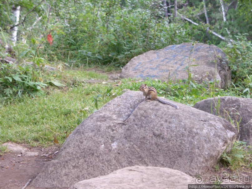 "Барабан" в Аршане