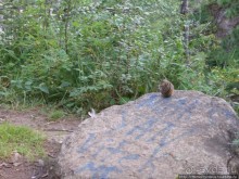 "Барабан" в Аршане